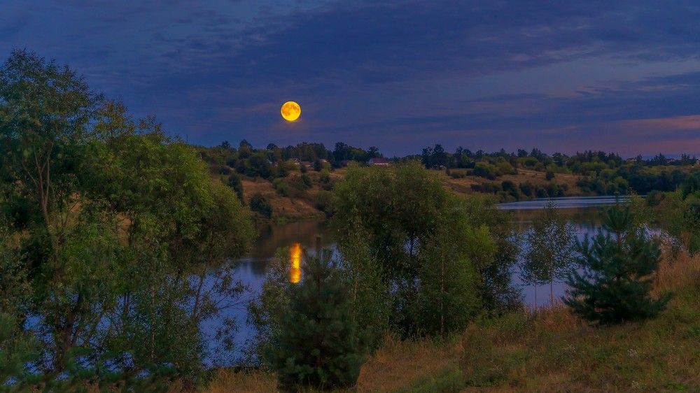 Фотография автора Николай Бологов