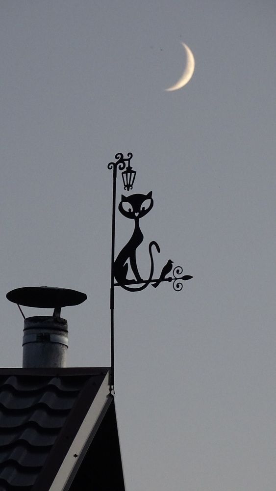 Photograph by Андрей Никифоров