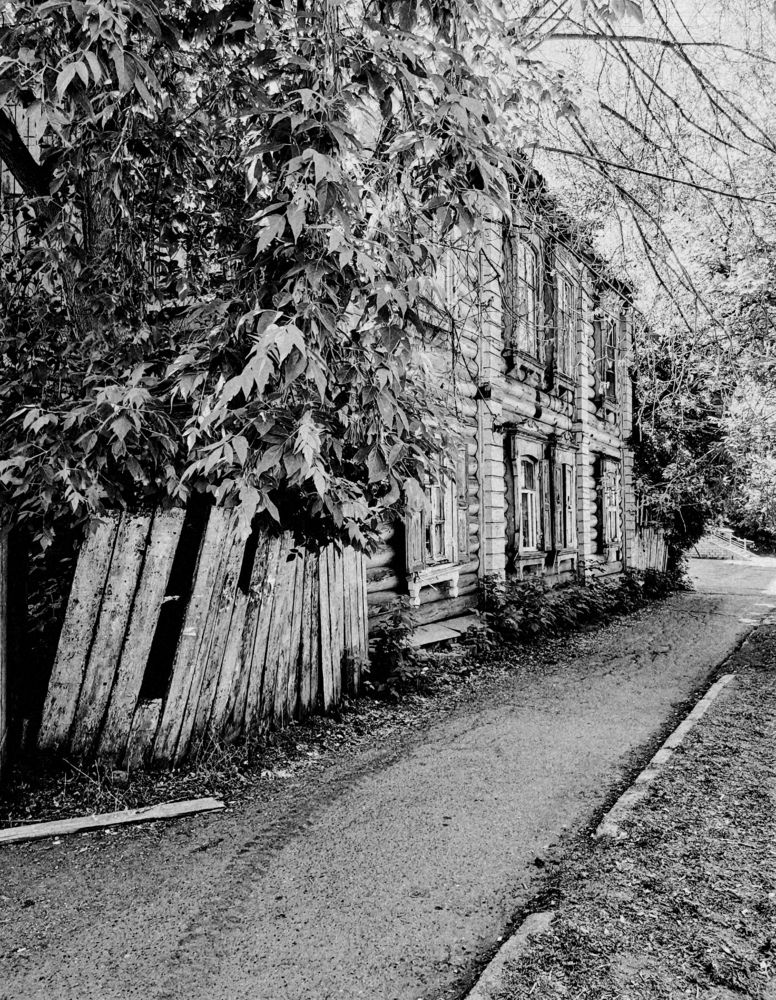 Photograph by Елена Павлова