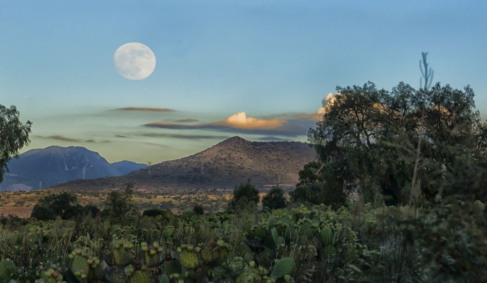 Photograph by Juan Carlos Fonseca