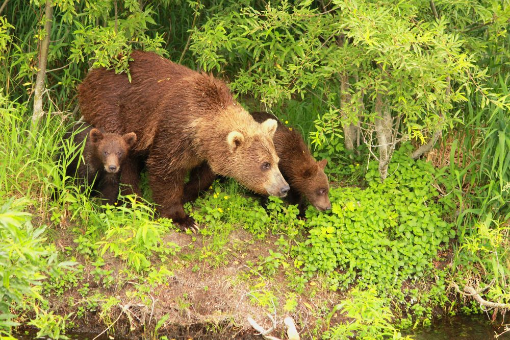 Photograph by Александр