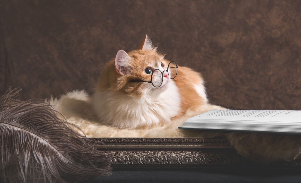 Photograph by Ирина Ивановна