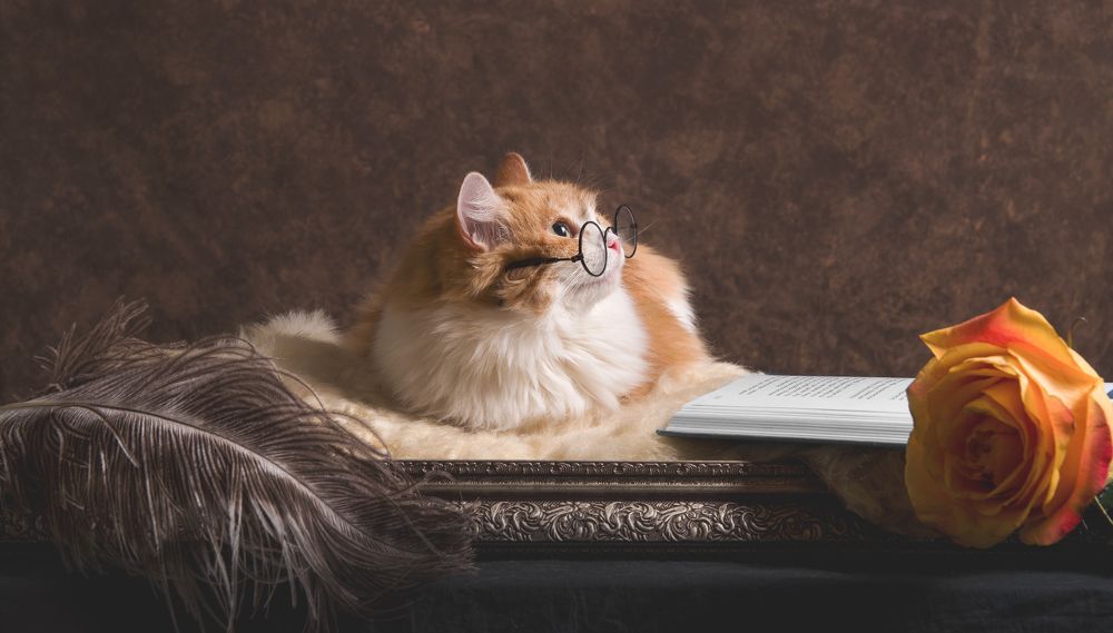 Photograph by Ирина Ивановна