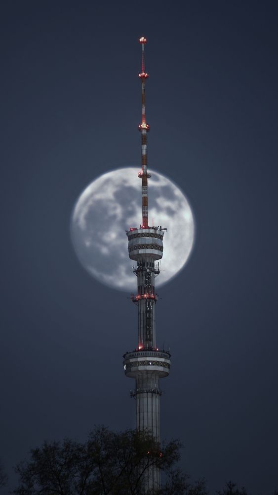 Photograph by Илья Копелиович