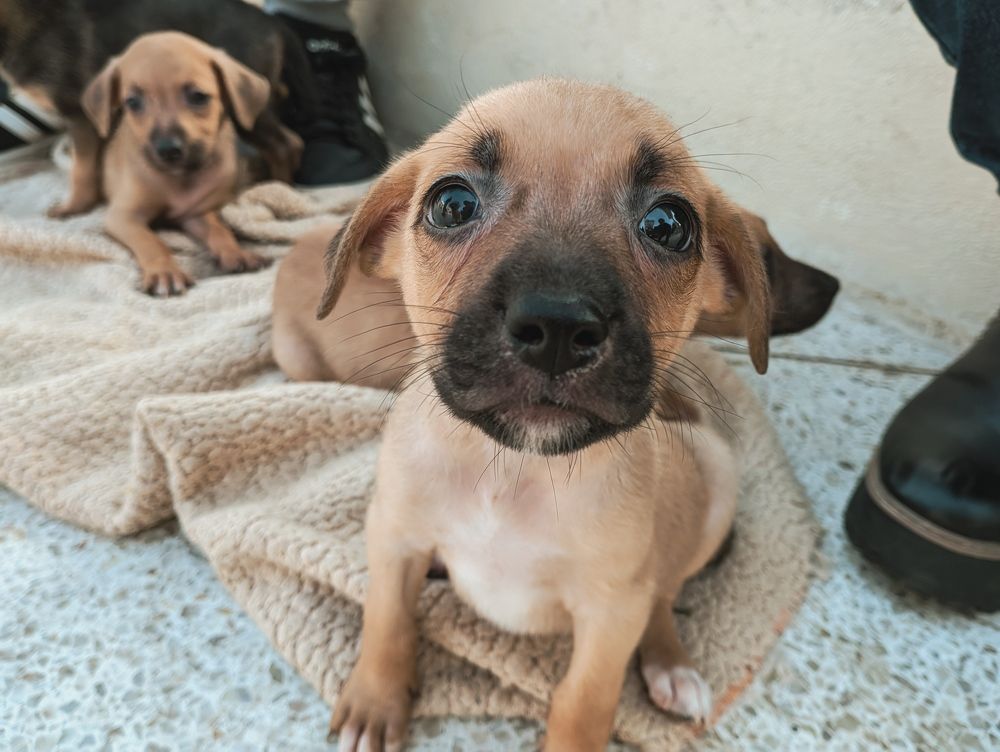 Photograph by Oscar Curo