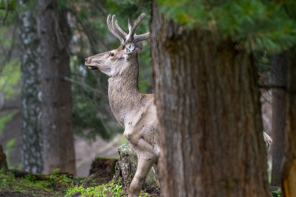 Photograph by Евгений Санин
