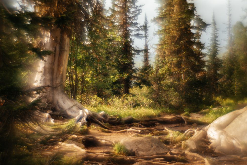 Photograph by Корчагина Оксана