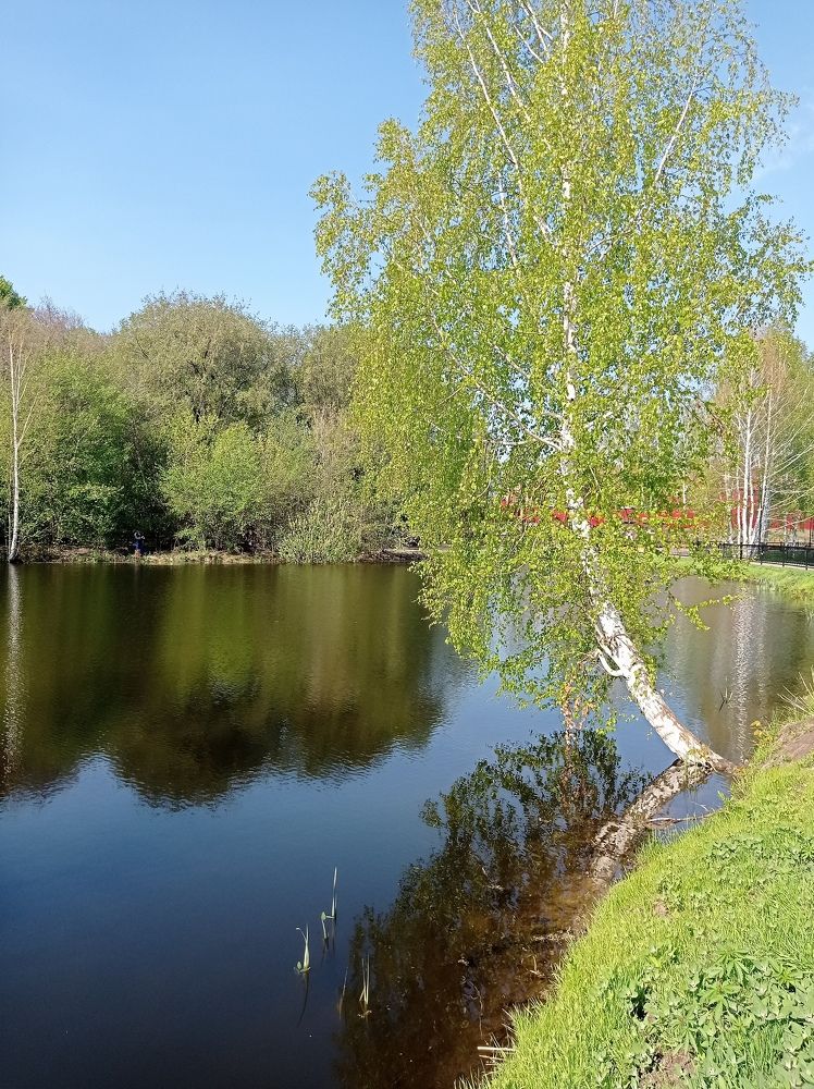 Photograph by Ирина Немкина