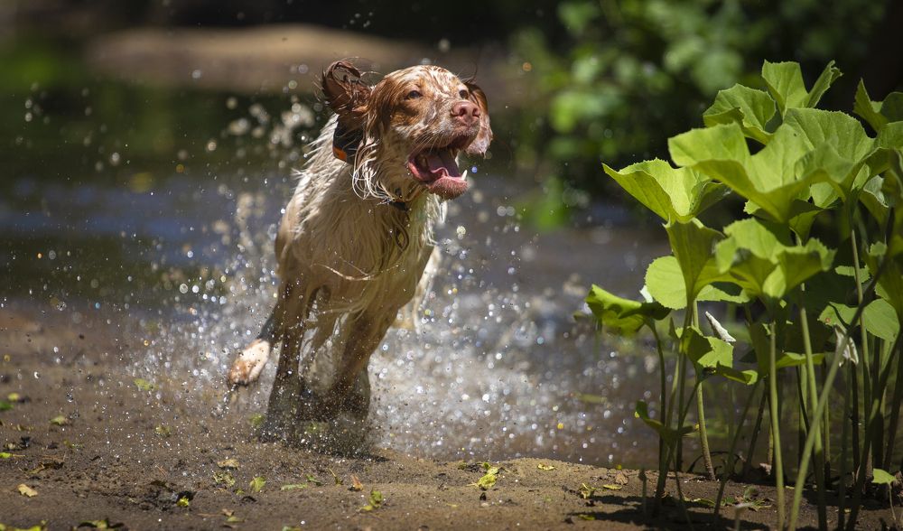 Photograph by Александр Чибиркин