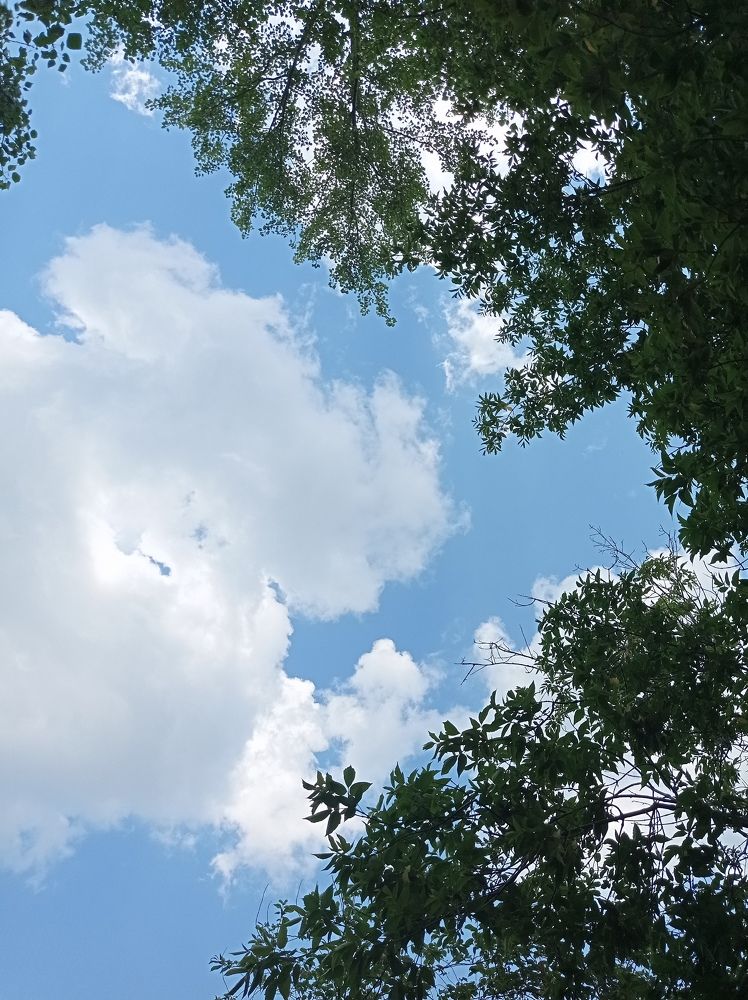 Photograph by Ирина Немкина