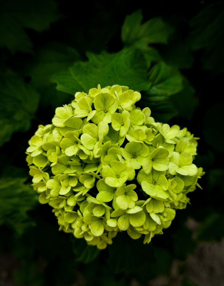 Photograph by Юлия Волгина