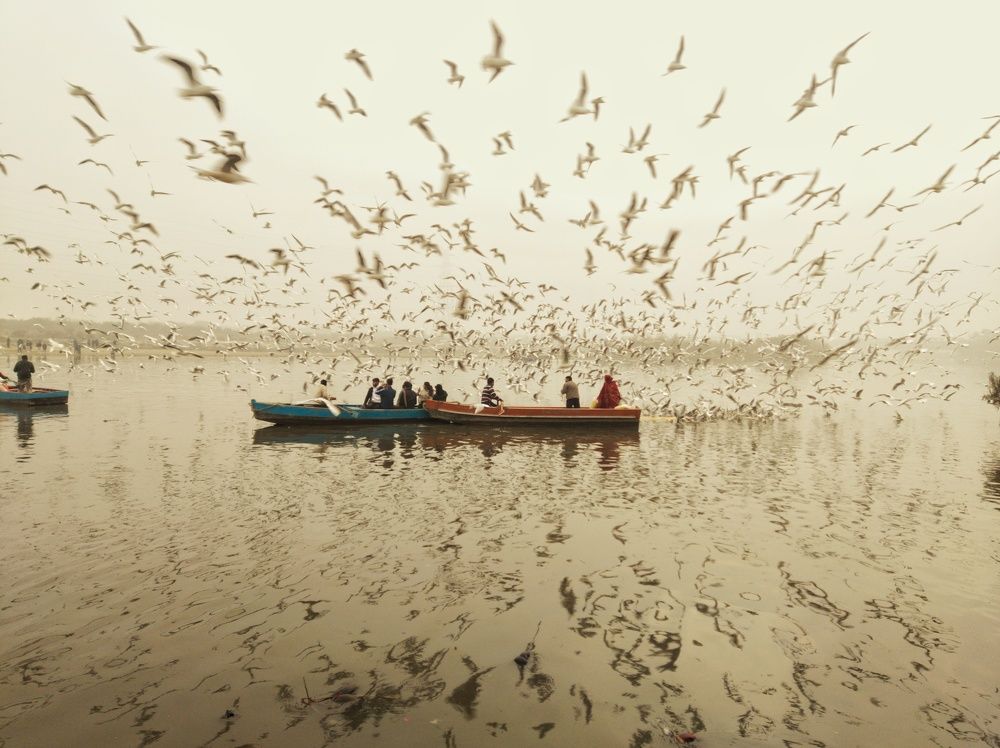 Photograph by Shubham Sinha