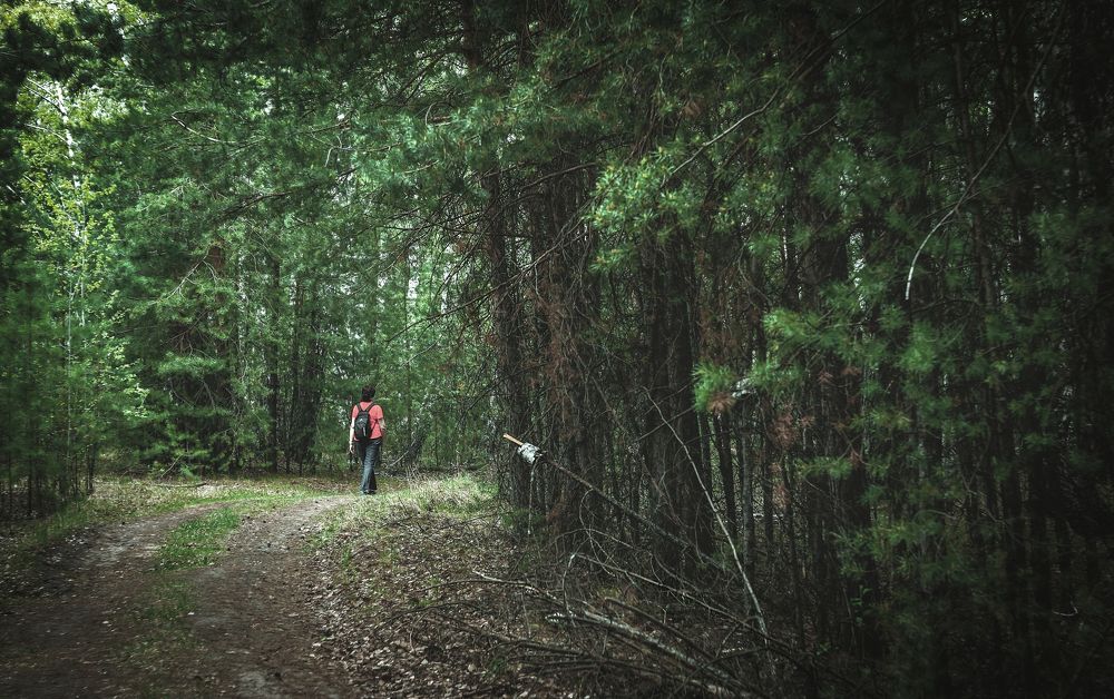 Если долго по дорожке,...