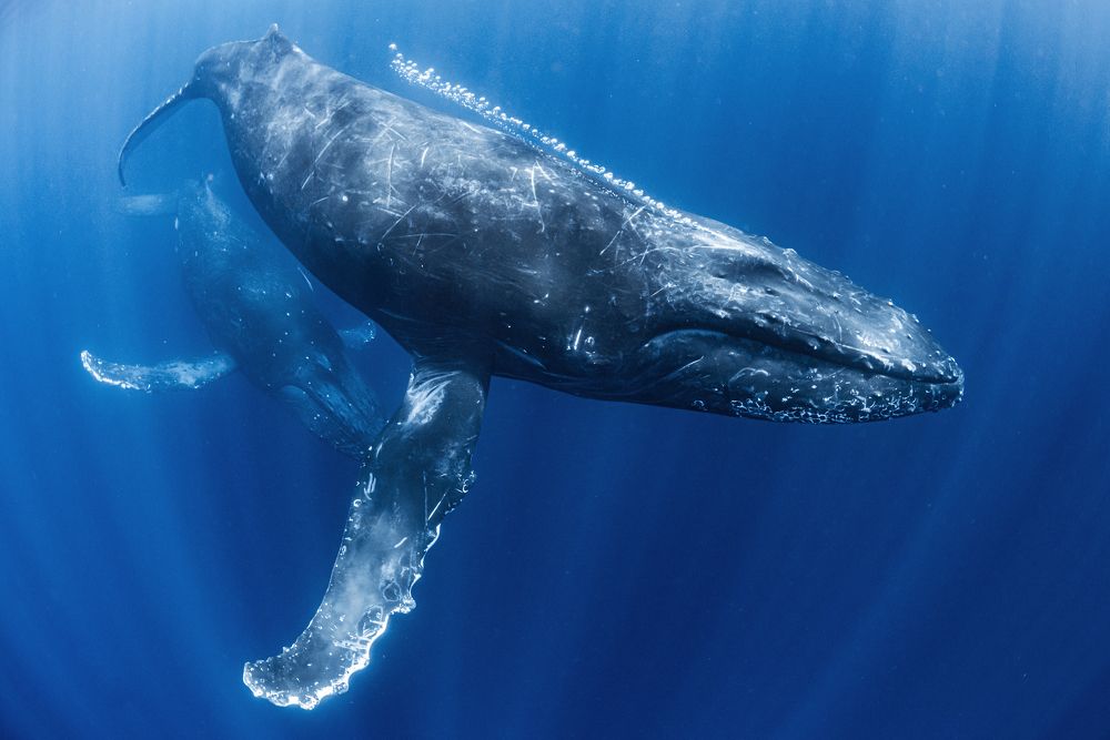 Photograph by KURASHIMA DAISUKE