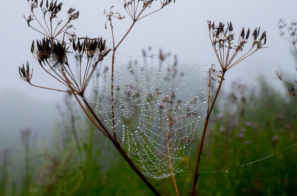 Photograph by Владимир Федин