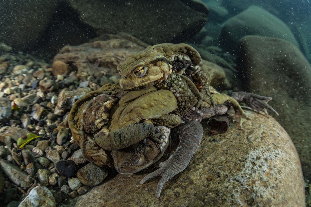 Photograph by KURASHIMA DAISUKE