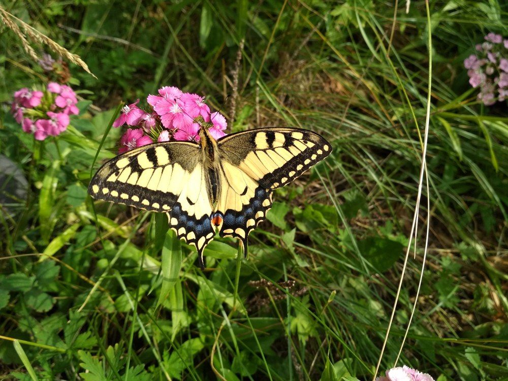 Photograph by Ирина Немкина