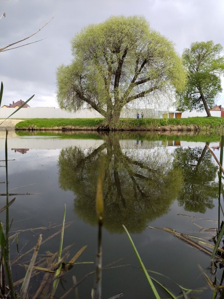 Photograph by Наташа Верхоламова