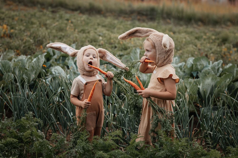 Photograph by Полотенко Екатерина