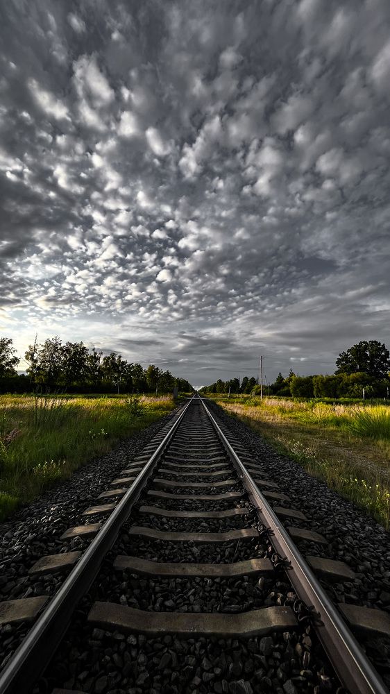 Photograph by Daniel Saikovsky