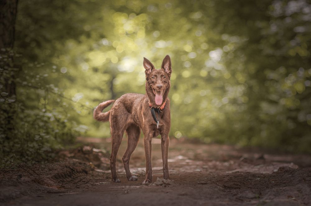 Photograph by Stacey