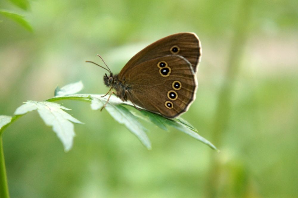 Photograph by Юля Хатыпова