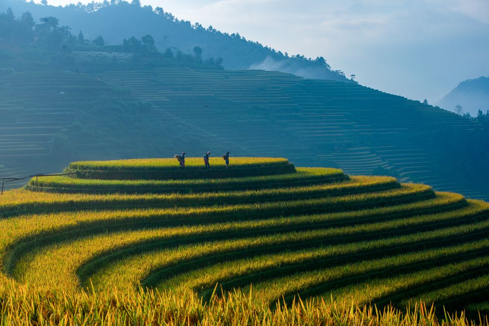 Photograph by Lai bich lien