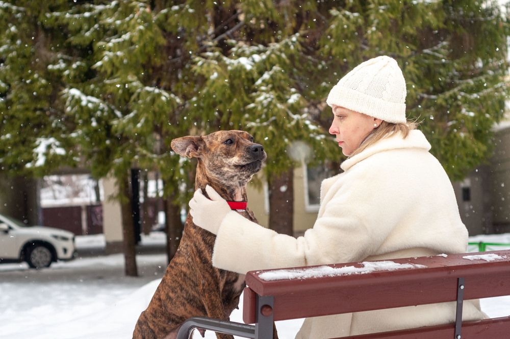 Фотография автора Виталий Дузь