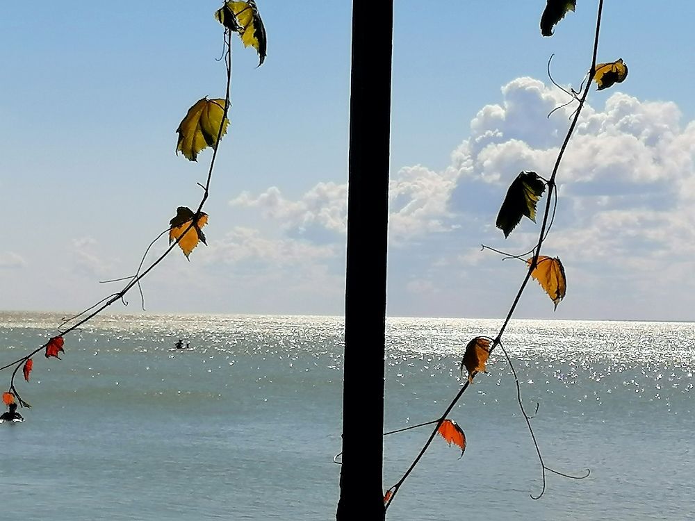 Photograph by Снежана Масалыкина