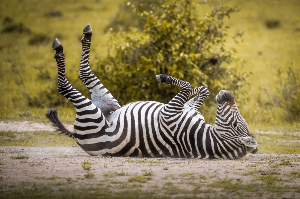 Photograph by Gimantha Perera