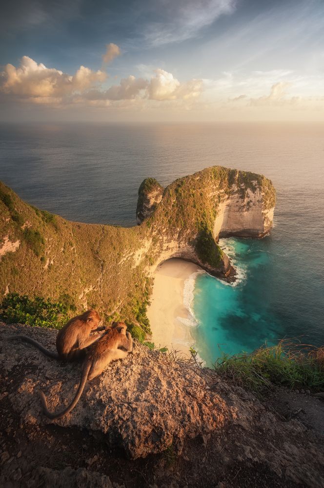 Photograph by Matteo Rovatti