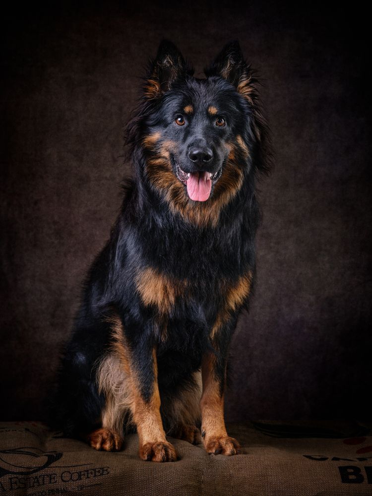 Фотография автора Christian Kieffer