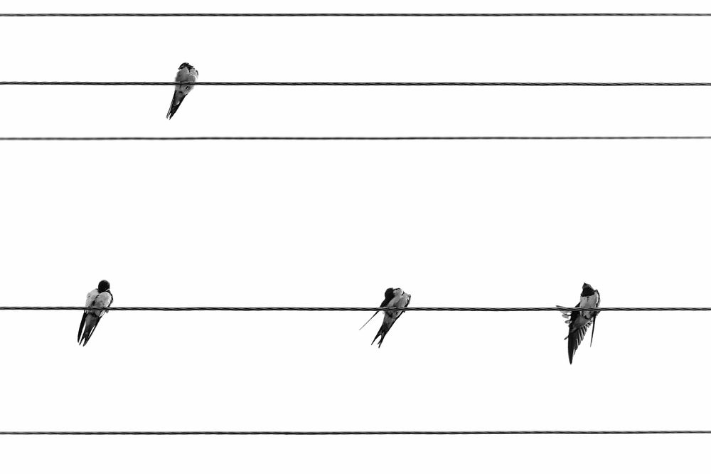 Фотография автора Игорь Ефремычев