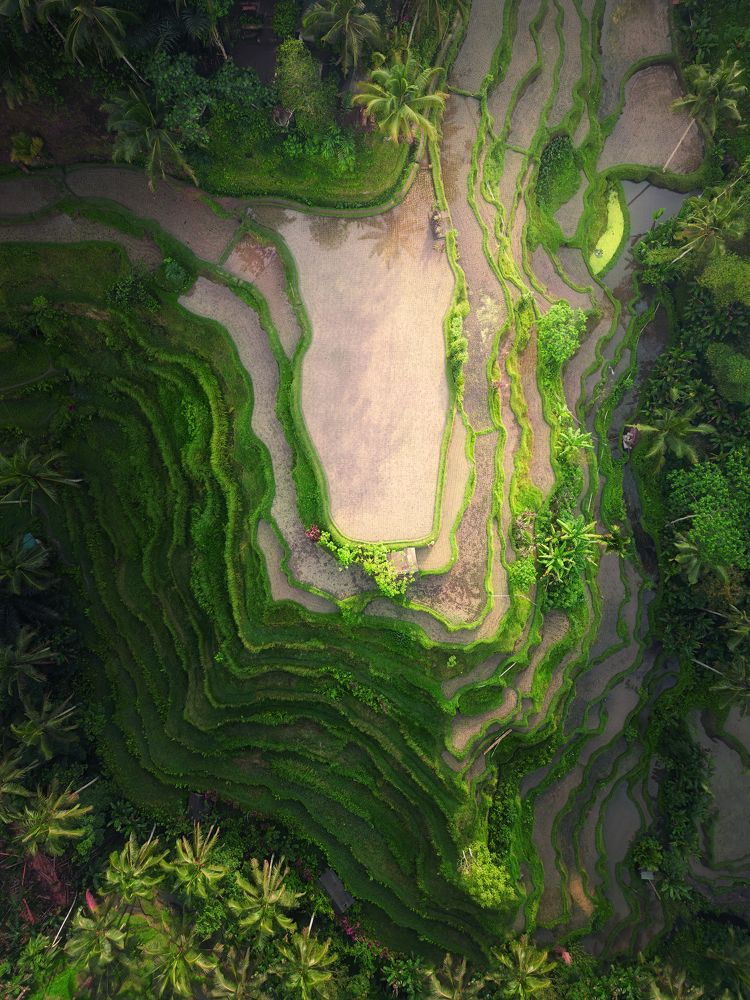 Photograph by Matteo Rovatti