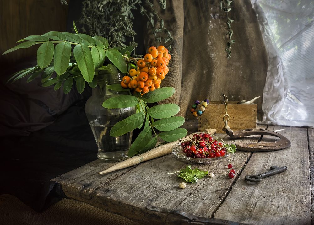 Фотография автора Milena Ivanova