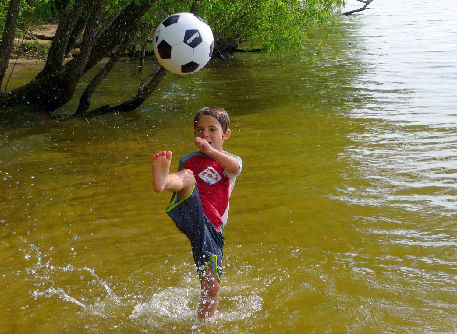 Photo #9355641