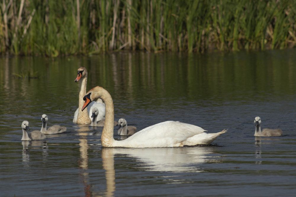 Photograph by Вера Почкалина