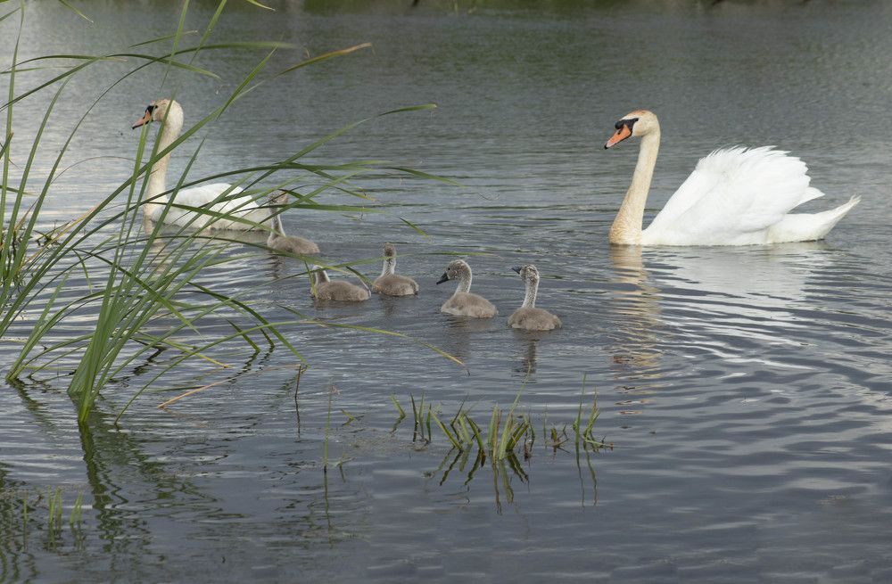 Photograph by Вера Почкалина