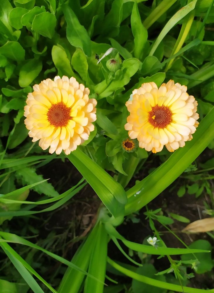 Photograph by Olga Kot