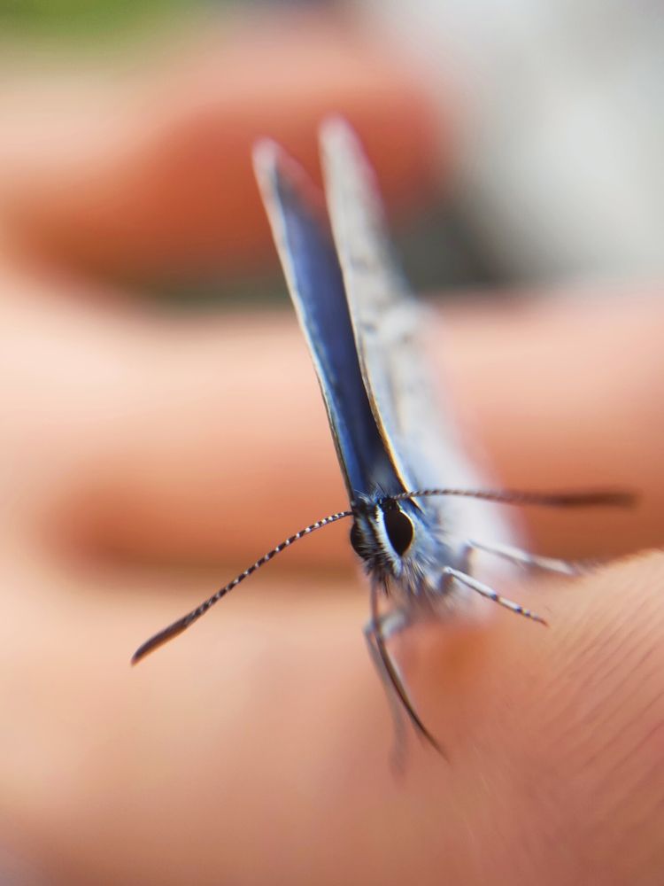 Фотография автора Светлана Смирнова