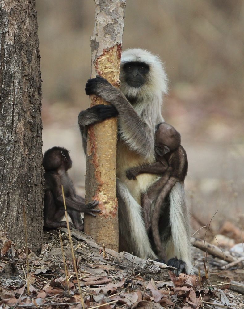 Photograph by Vikram Bahal