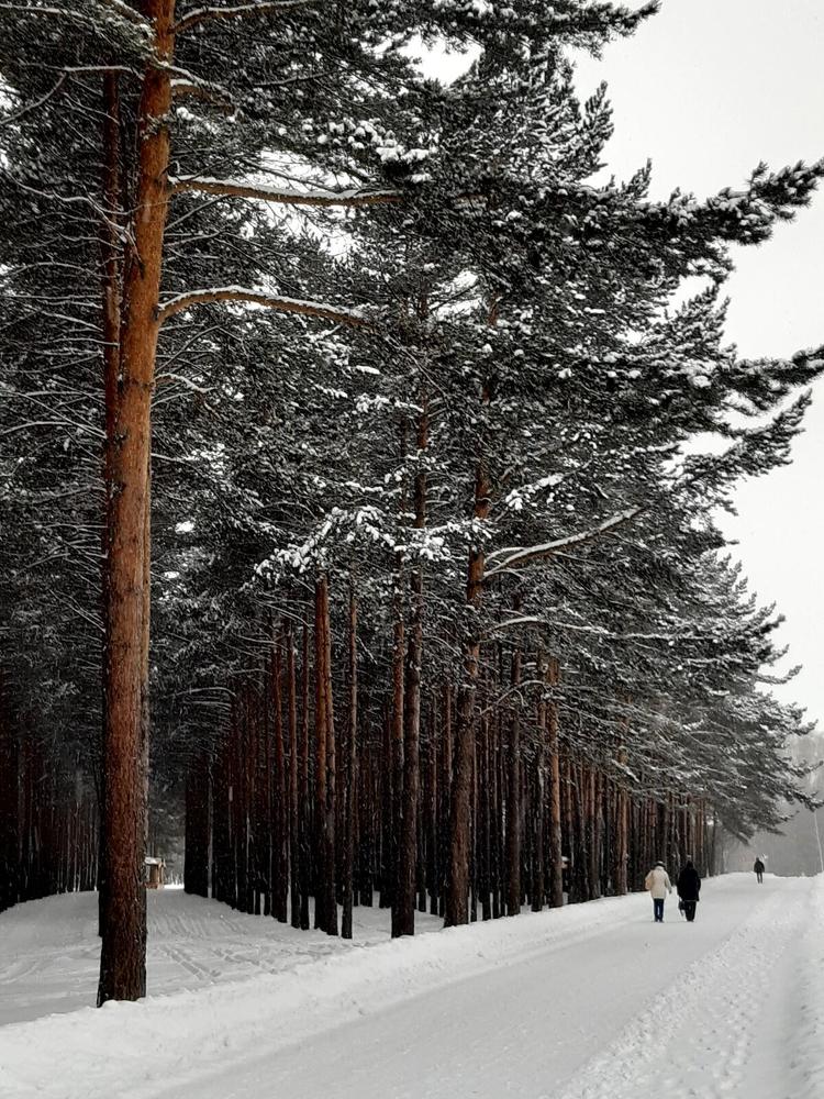 Фотография автора Наталья Шендяпина
