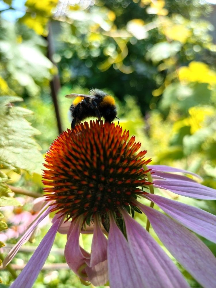 Photograph by Марина Евграфова