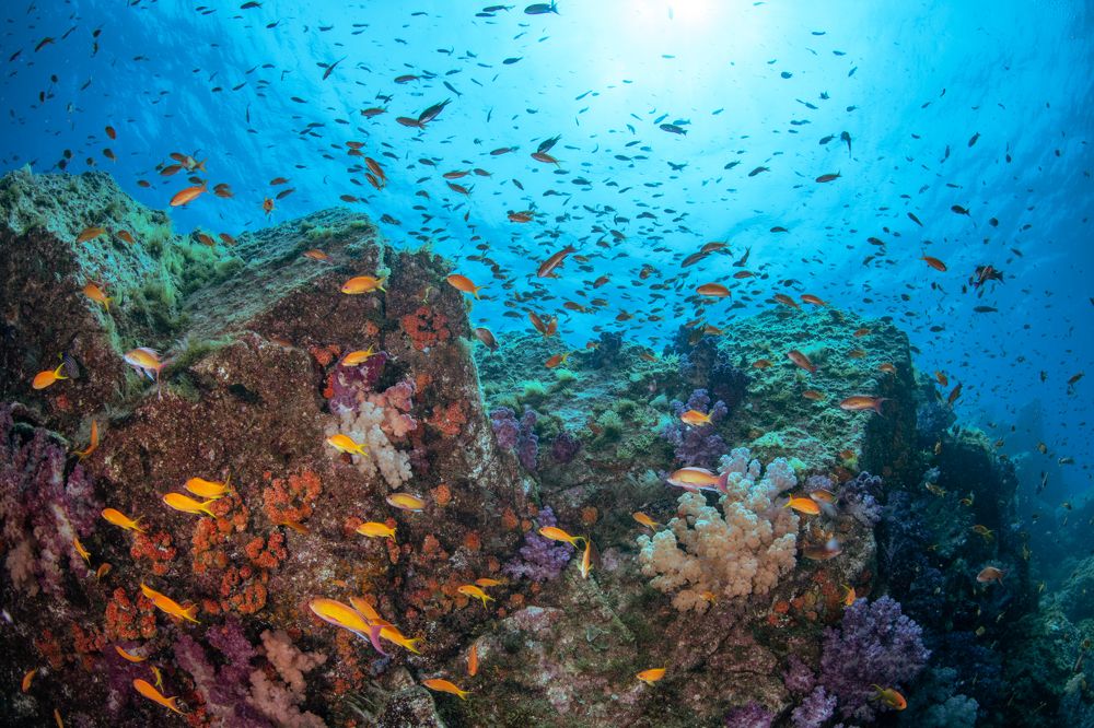 Photograph by HITOMI TSUCHIYA