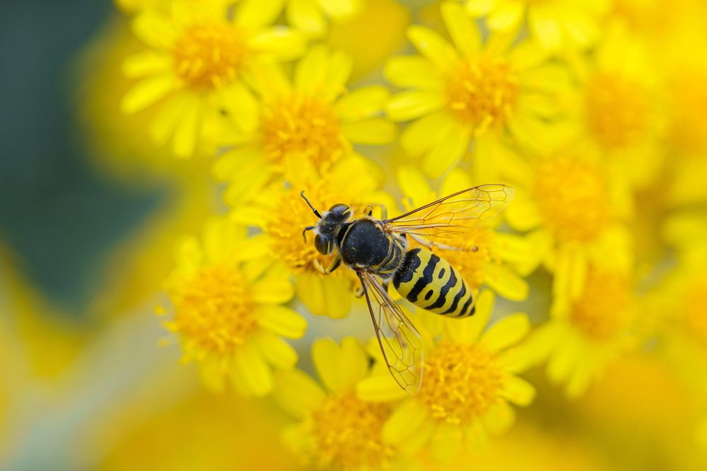 Photograph by Valdis Serzhans
