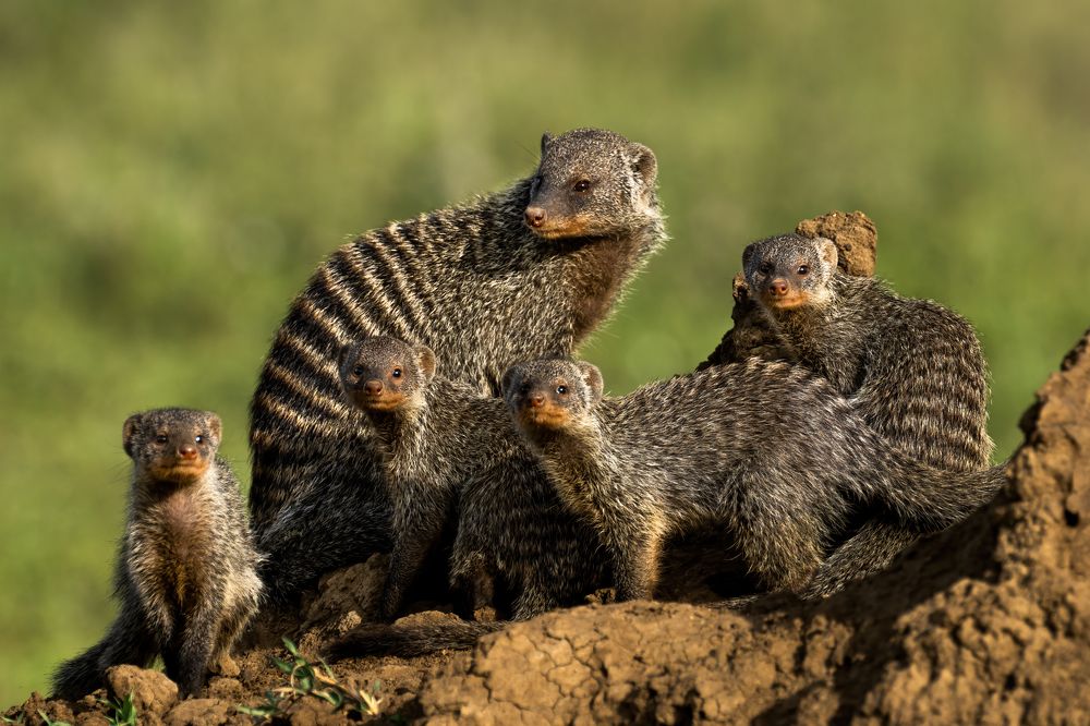 Photograph by Николай Мозгунов