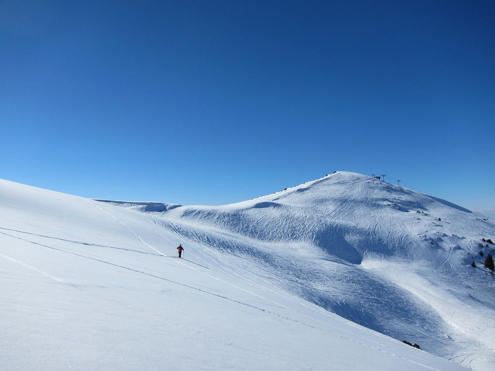 Photo #9356129
