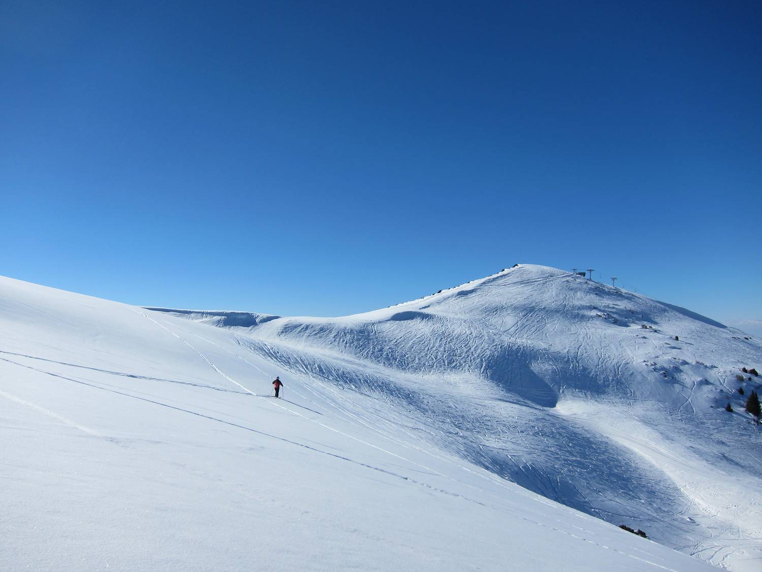 Photo #9356129