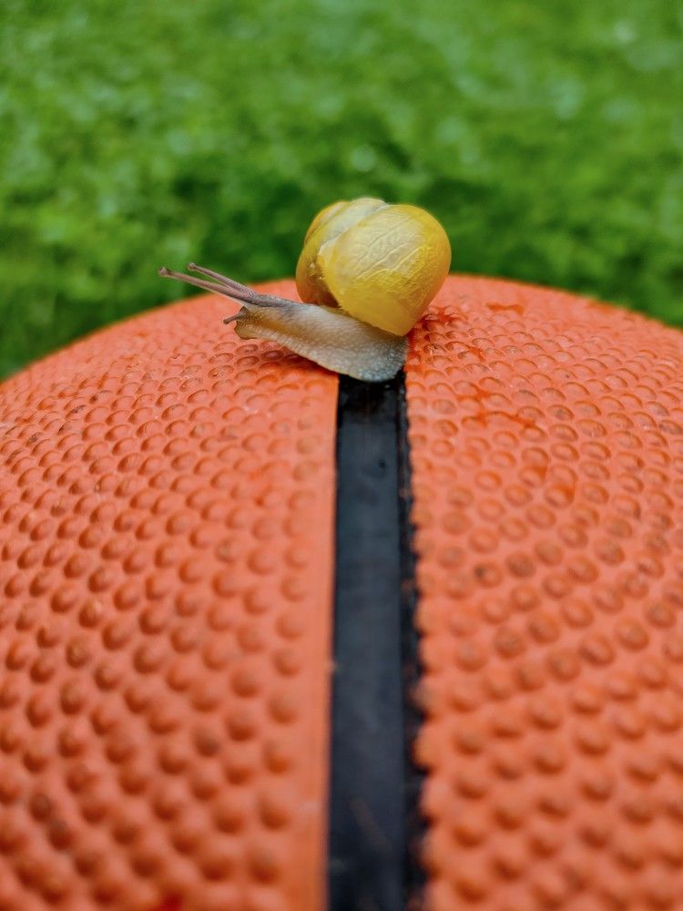 Photograph by Оксана Губанова