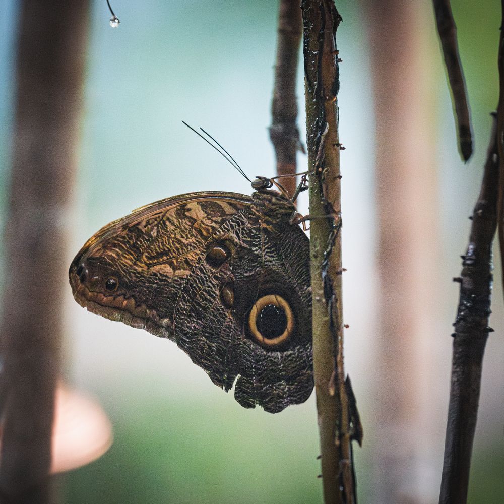 Photograph by Gevork Gukasyan